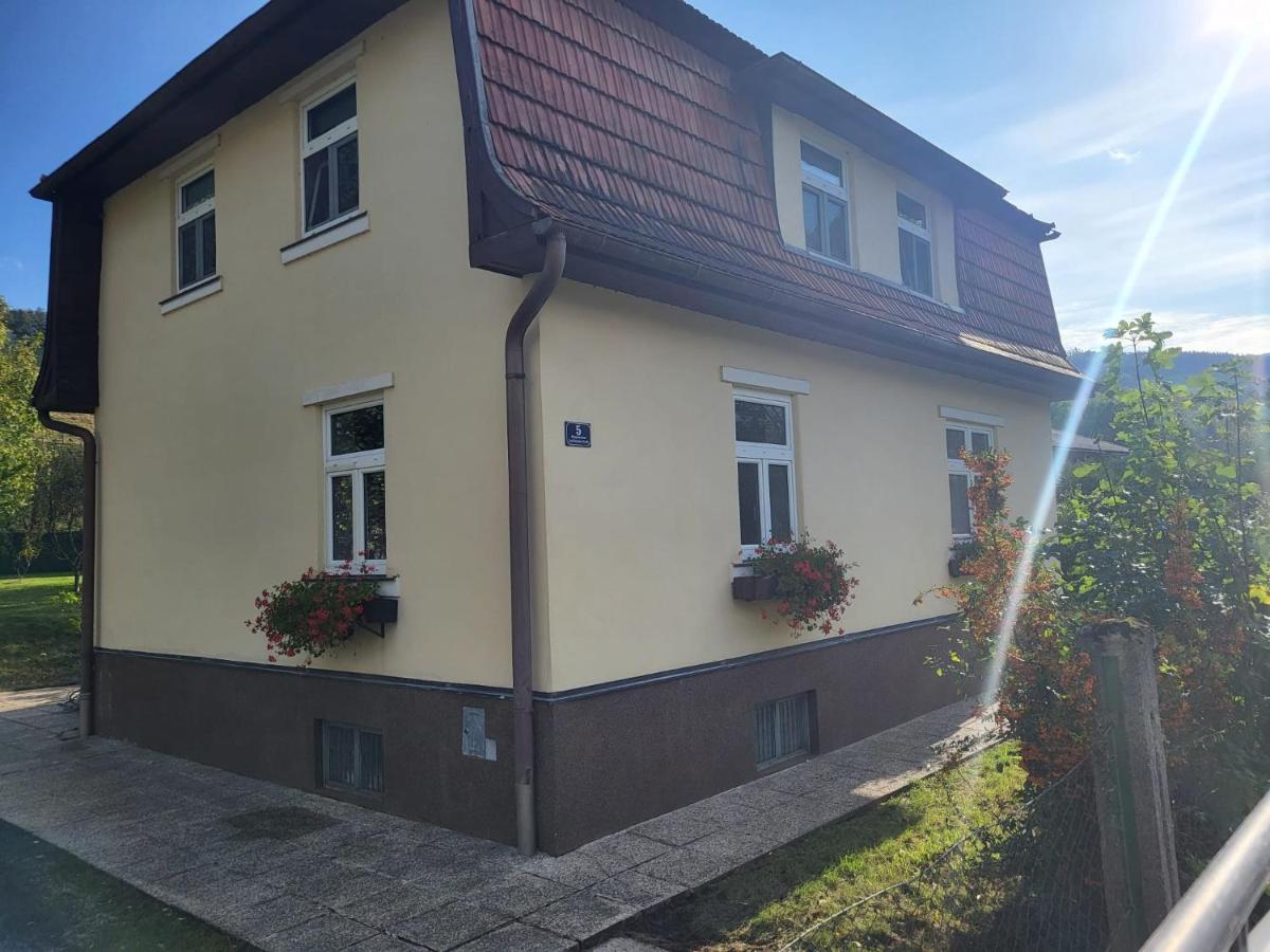 Ferienwohnung Mostheuriger Leo-Hof Eva 赖歇瑙 外观 照片